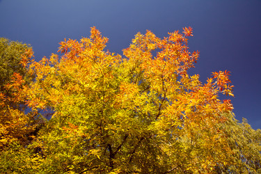 Similar image 640069