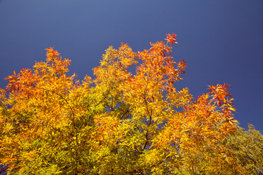 Similar image 640072