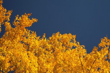 Similar image 640070