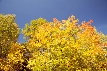 Similar image 640074