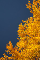 Similar image 640075