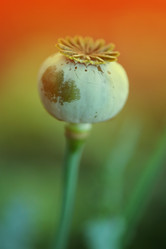 Similar image 640088