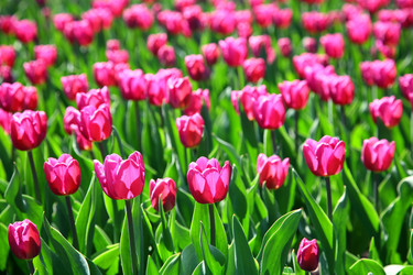 Similar image 640131