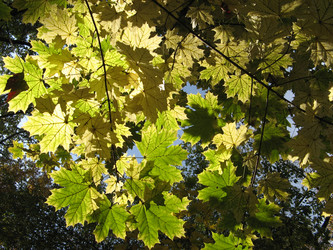 Similar image 640134