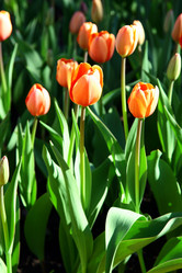 Similar image 640135