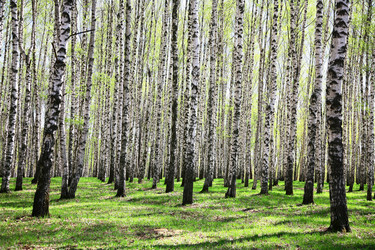 Similar image 640143