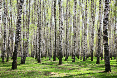 Similar image 640145