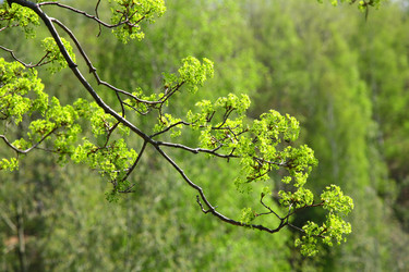 Similar image 640154