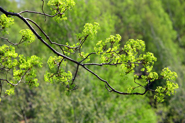 Similar image 640158