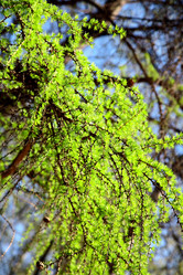 Similar image 640170