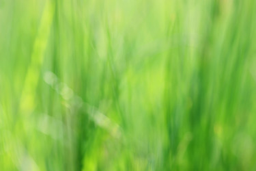 Similar image 640188