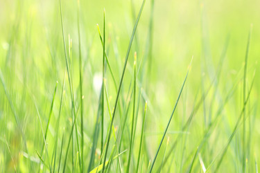 Similar image 640189