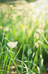 Similar image 640239