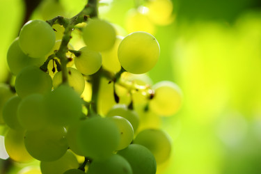 Similar image 640242