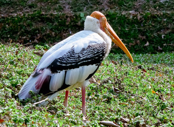 Similar image 640263