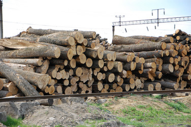 Similar image 640312