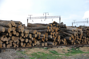 Similar image 640314