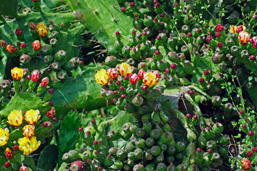 Similar image 640315