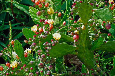 Similar image 640319