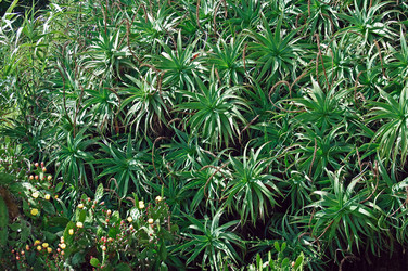 Similar image 640321