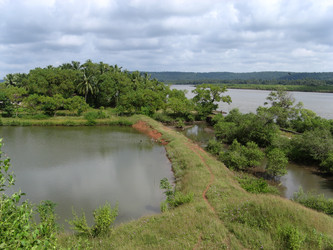 Similar image 640323