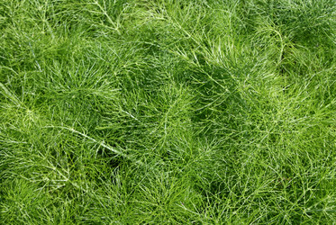 Similar image 640347