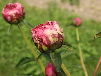 Similar image 640349