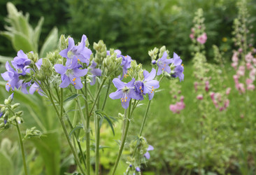 Similar image 640350