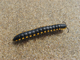 Similar image 640381