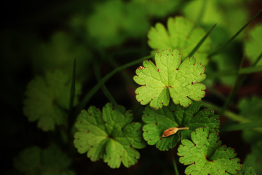 Similar image 640388