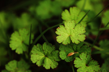 Similar image 640390