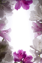 Similar image 640405