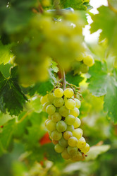 Similar image 640423