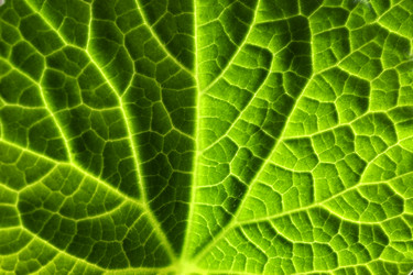 Similar image 640425