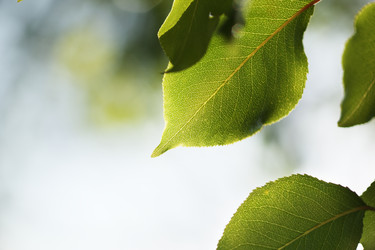 Similar image 640431