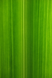 Similar image 640450