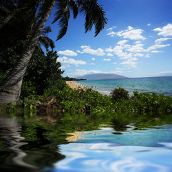 Similar image 640459