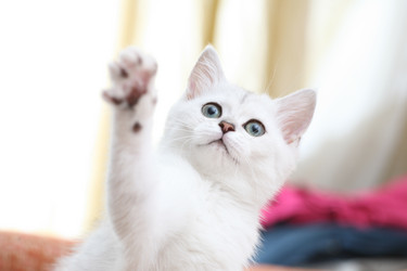 Similar image 640485