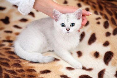 Similar image 640486