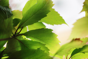 Similar image 640492