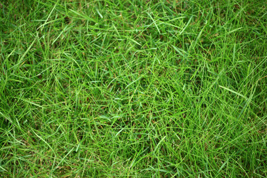 Similar image 640497