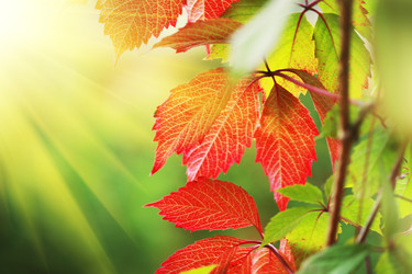 Similar image 640505