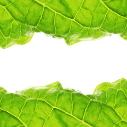 Similar image 640509