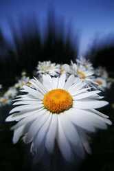 Similar image 640510