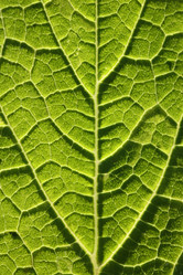 Similar image 640517