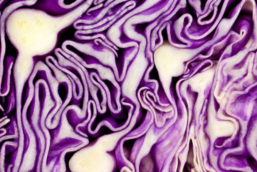 Similar image 640539