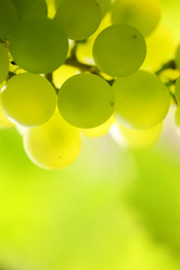 Similar image 640549