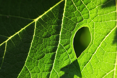 Similar image 640559