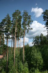 Similar image 640610