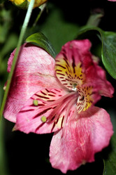 Similar image 640620